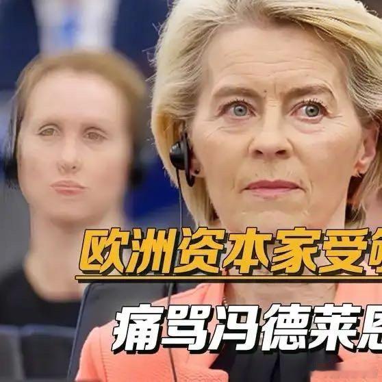 《痛骂冯德莱恩，欧洲资本家火力全开：欧洲议会里全是蠢货#瞭望台海#》 ​