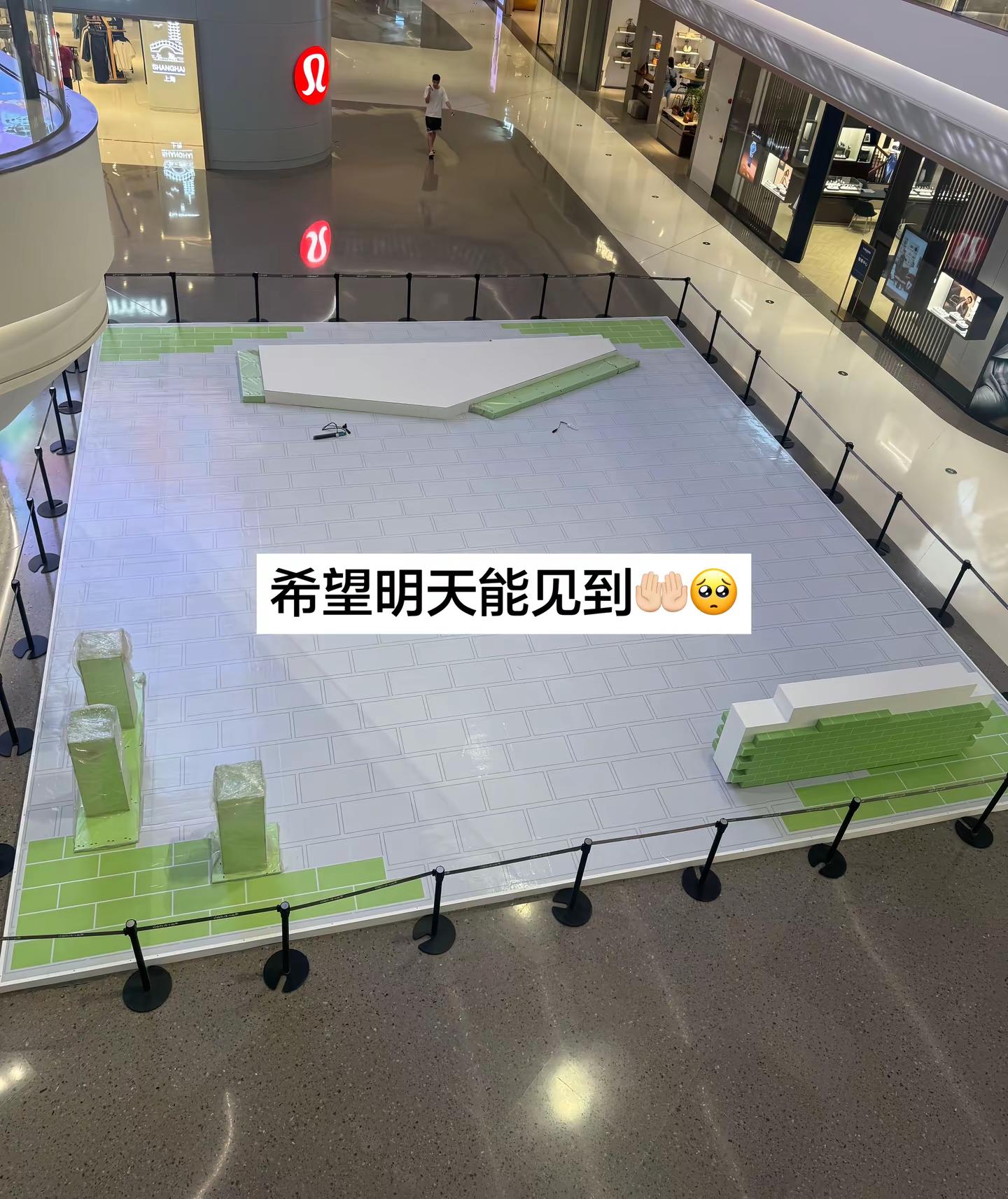 樊振东