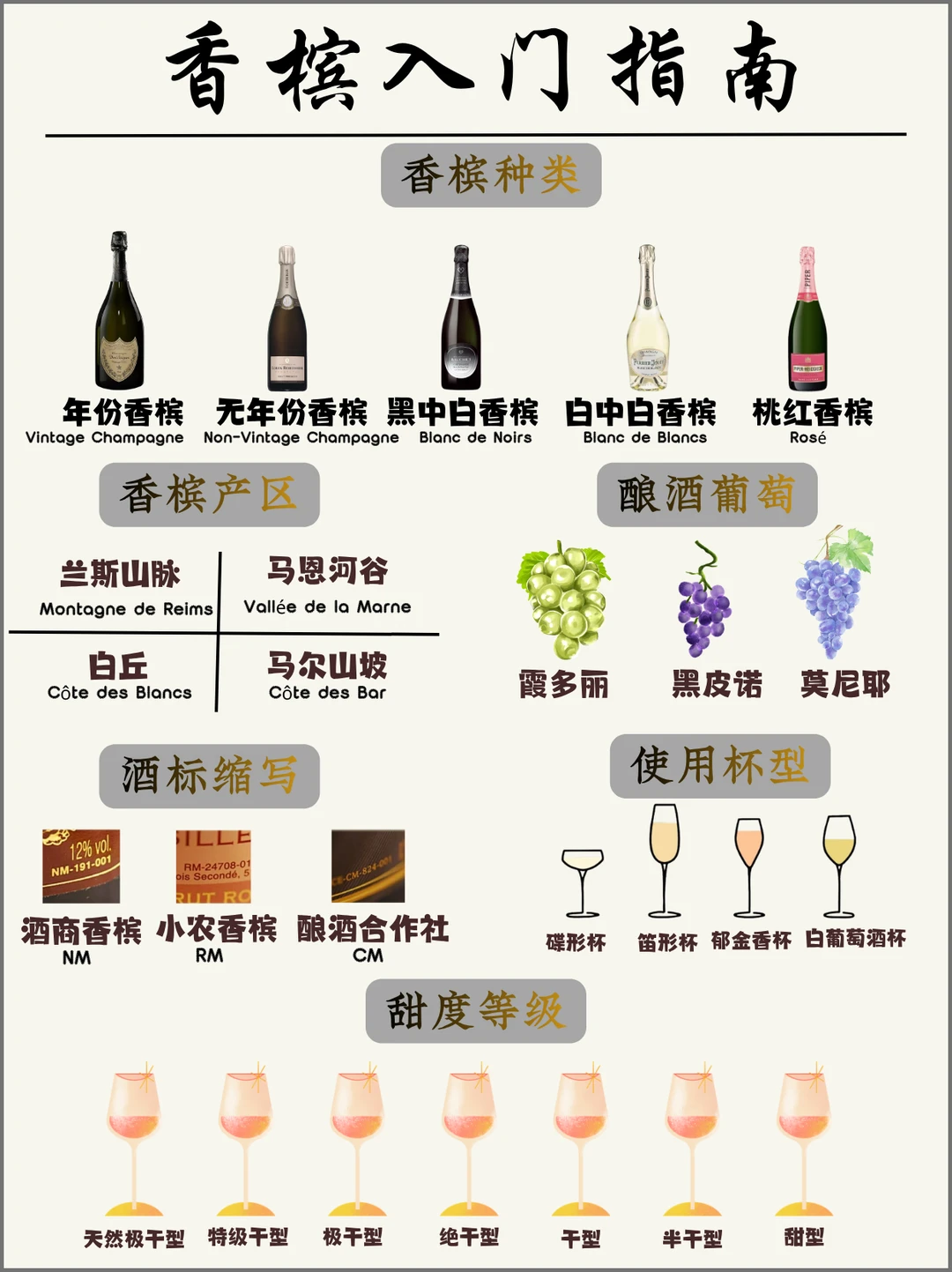 一图秒懂香槟📚｜入门指南＆选购攻略🛒