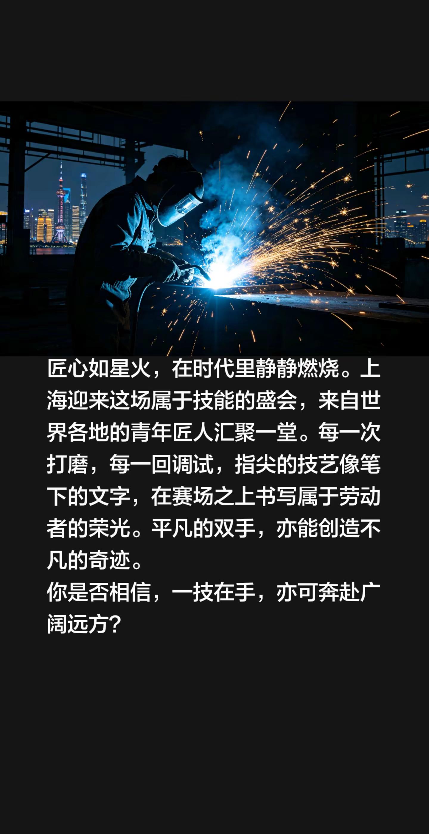 第48届世界技能大赛世界技能大赛上海匠心
