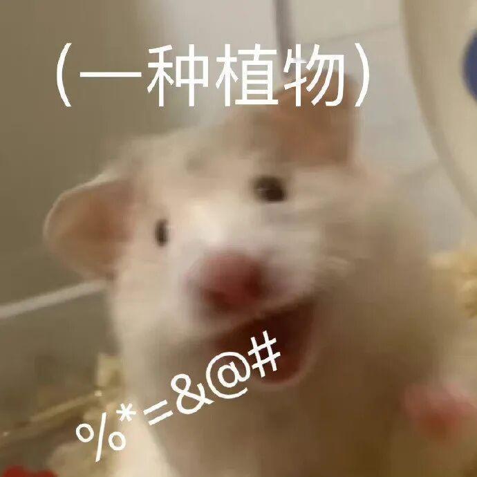 #酒局被猥亵女生照片被网上传播#

不止二次伤害吧？？？公职人员猥亵女孩子，传女孩子的照片？🐷男见不得人吗？干嘛给出生打码？？？我不理解 ​