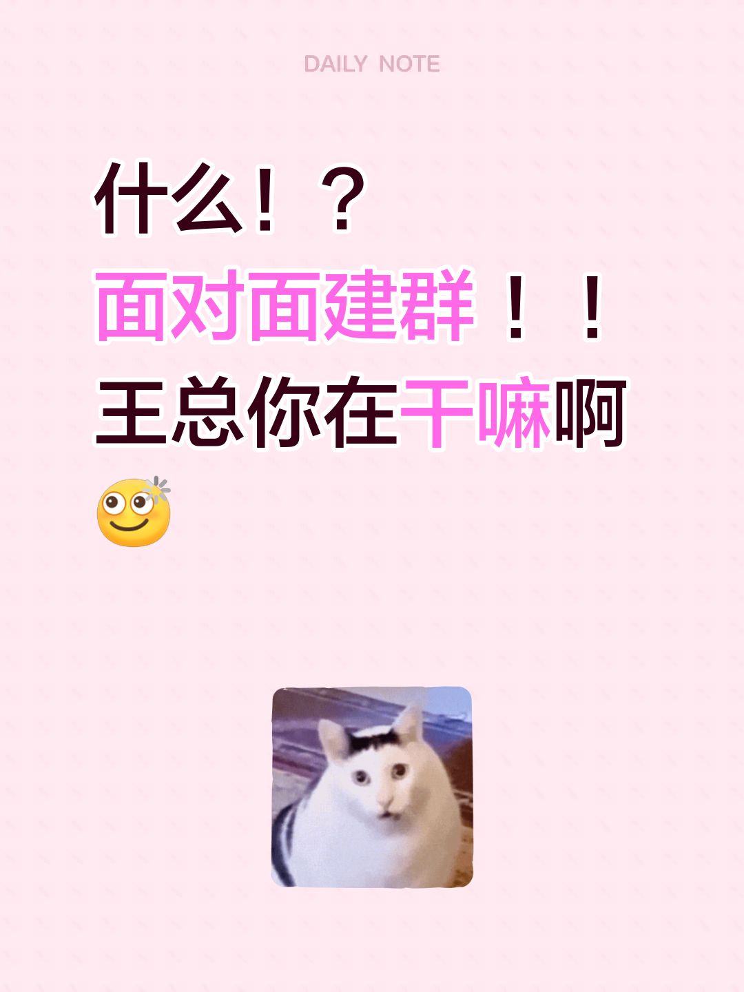 什么！？
面对面建群 ！！
王总你在干嘛啊王源 王源演唱会
