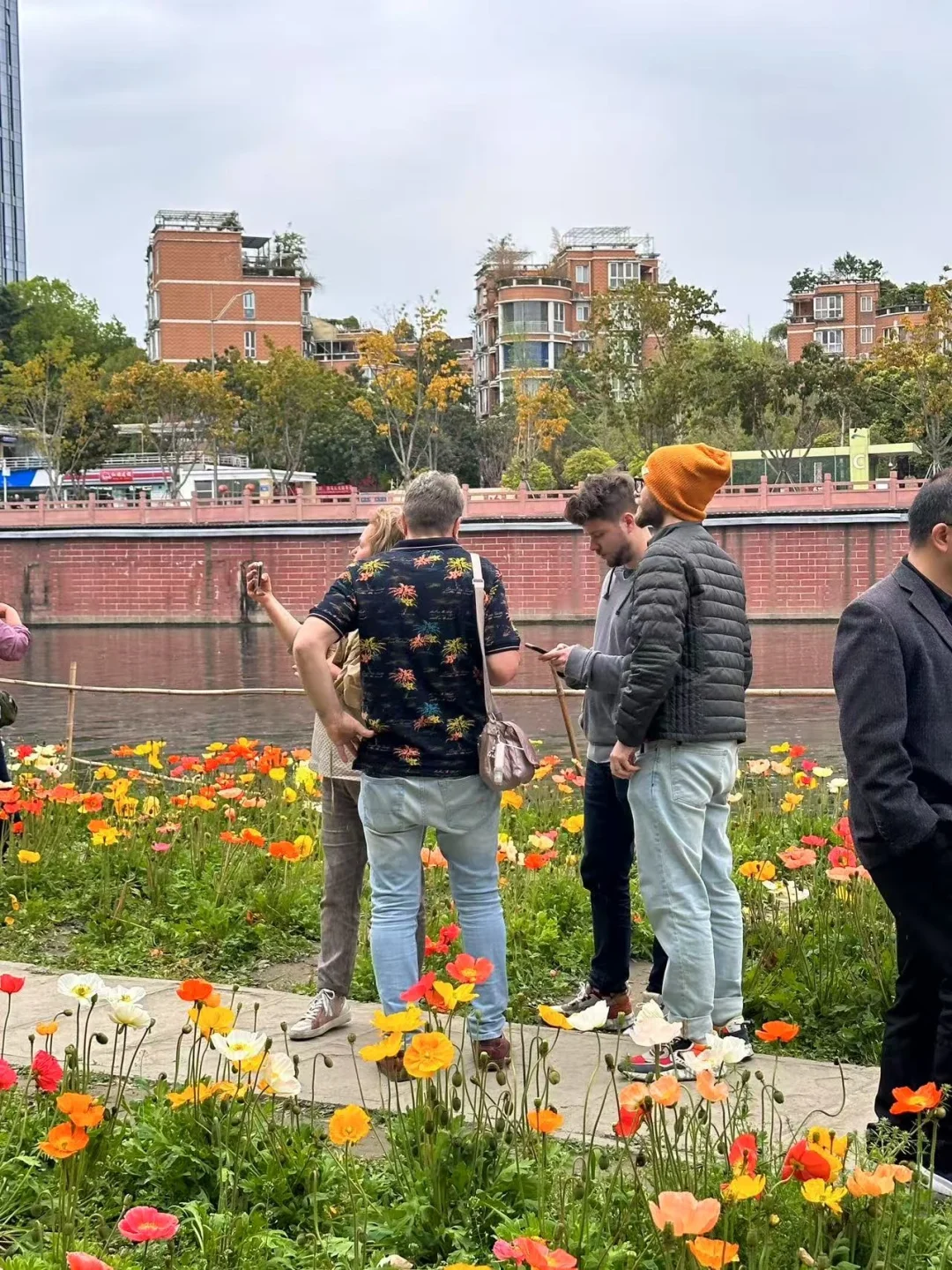 成都的歪果仁含量有点高