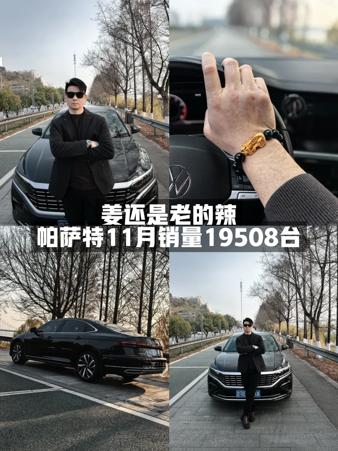 帕萨特～11月销量19508台姜还是老的辣啊！