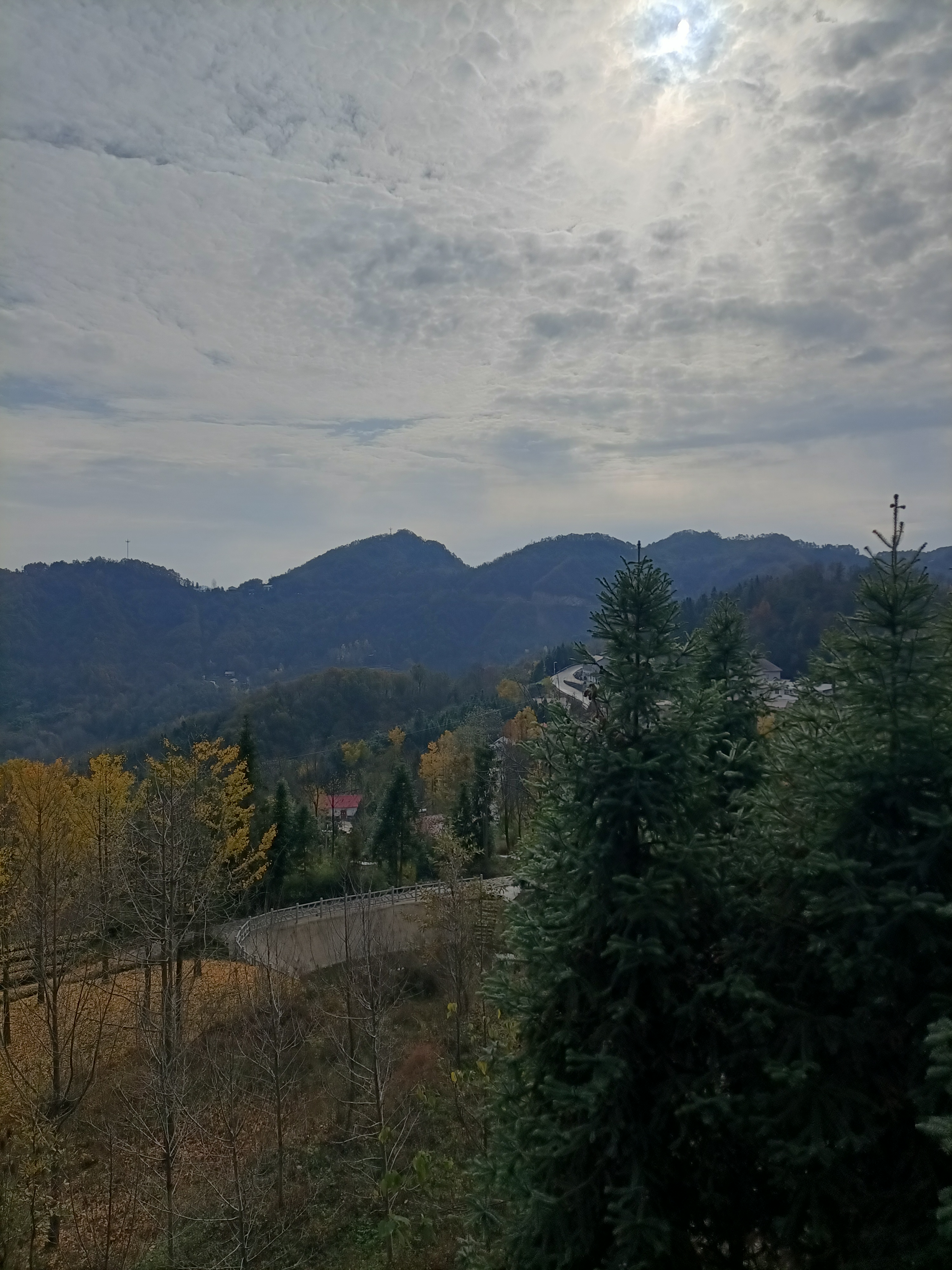 <p>女子买新能源车频繁充电还卡在高速[祝福] <!--{img:0}...