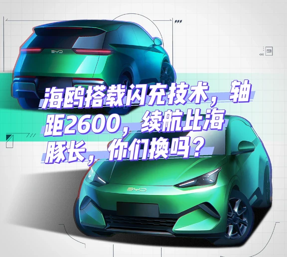 来，海鸥2.0，这个绿色也太酷了吧！