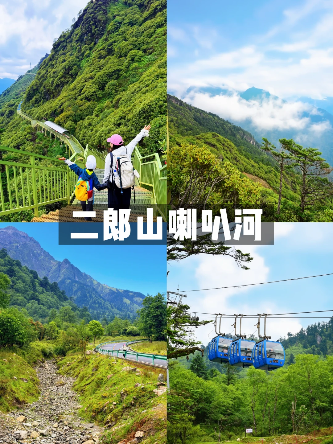 成都周边3h‼️雅安喇叭河2天1夜遛娃攻略🦌