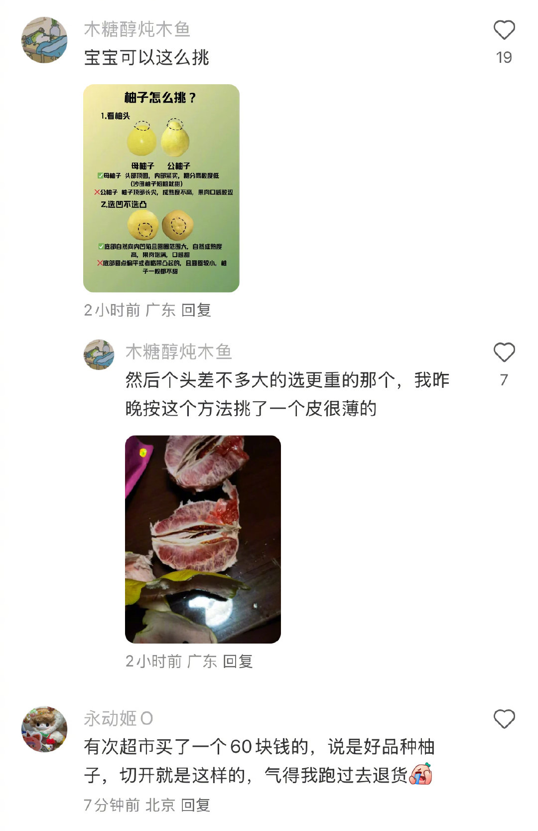 读了一本厚厚的柚子书📖 ​