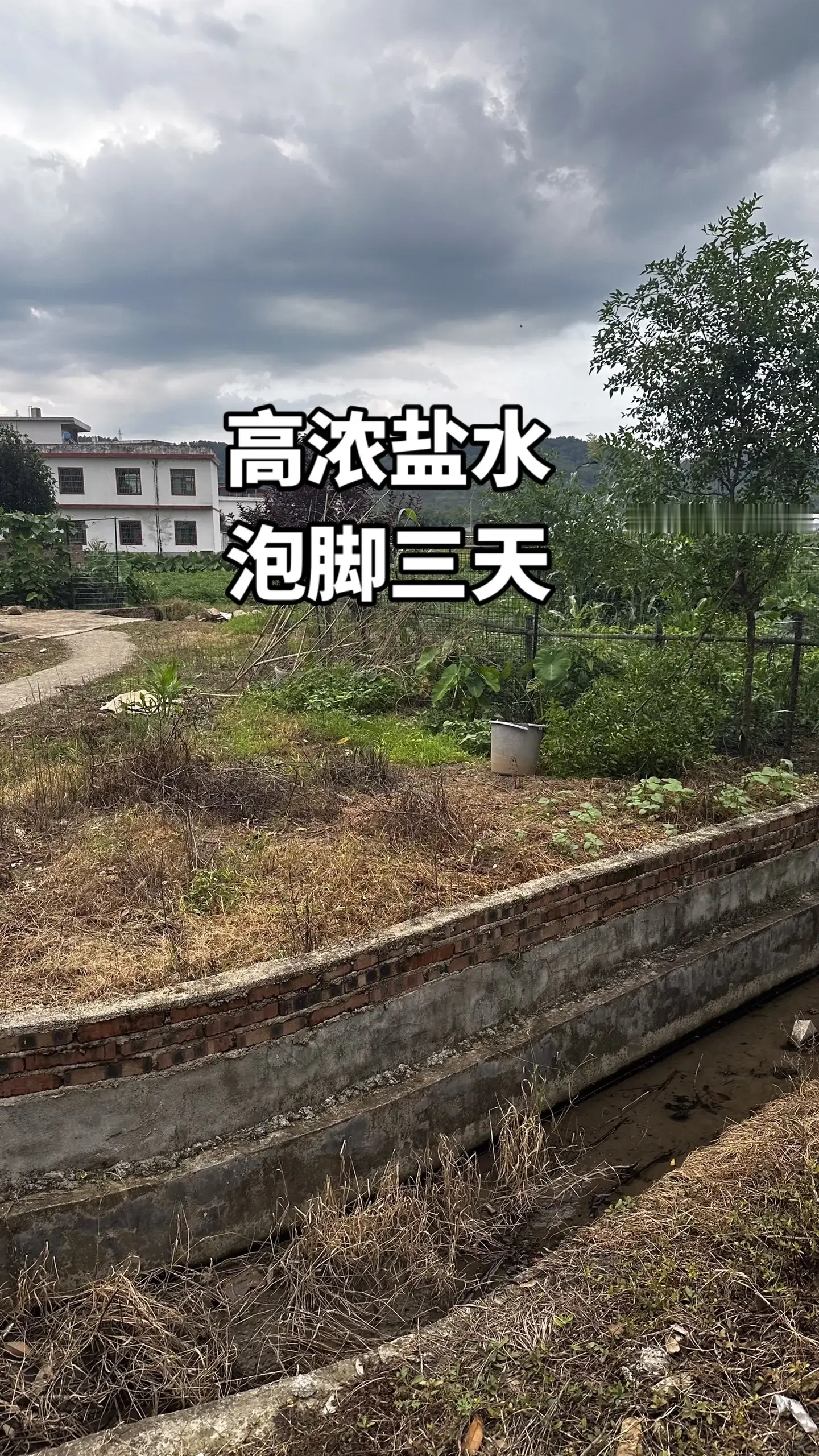 马刺还是太年轻了，关键失误&amp;绝杀不中，马刺主场再负尼克斯  文班亚马错失绝杀 尼克斯105比104险胜马刺