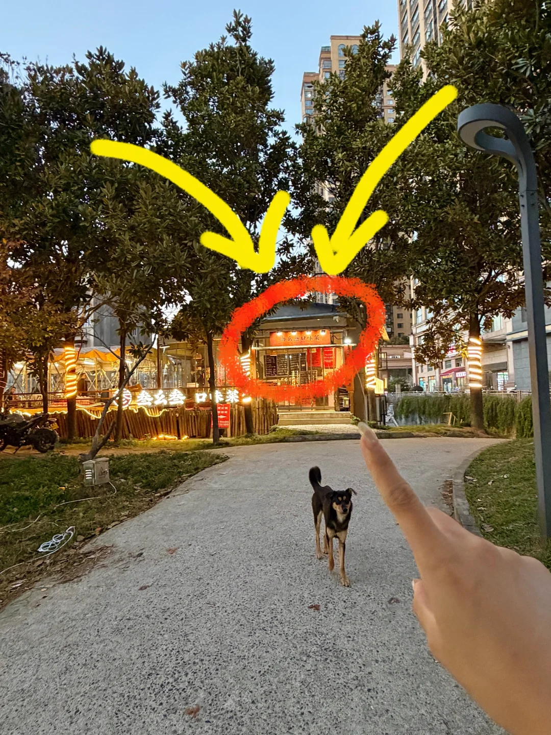 长沙）爬完岳麓山建议直奔这里🥹🥹好好吃啊…