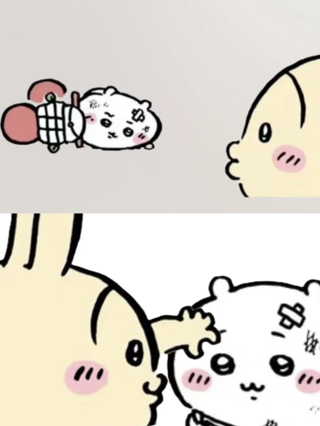 谁说小乌不贴心