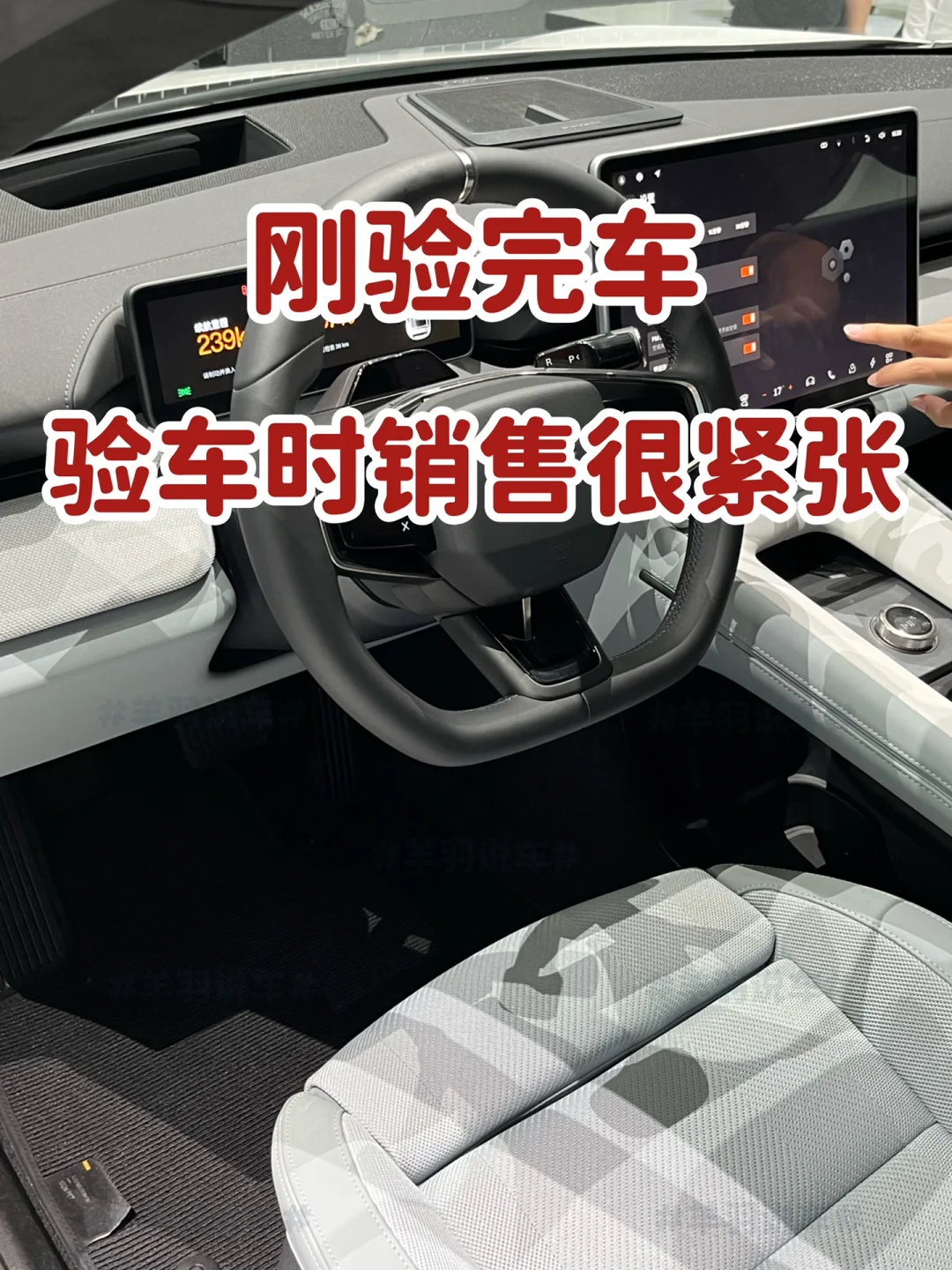 刚验完车，验车时我发现销售很紧张！