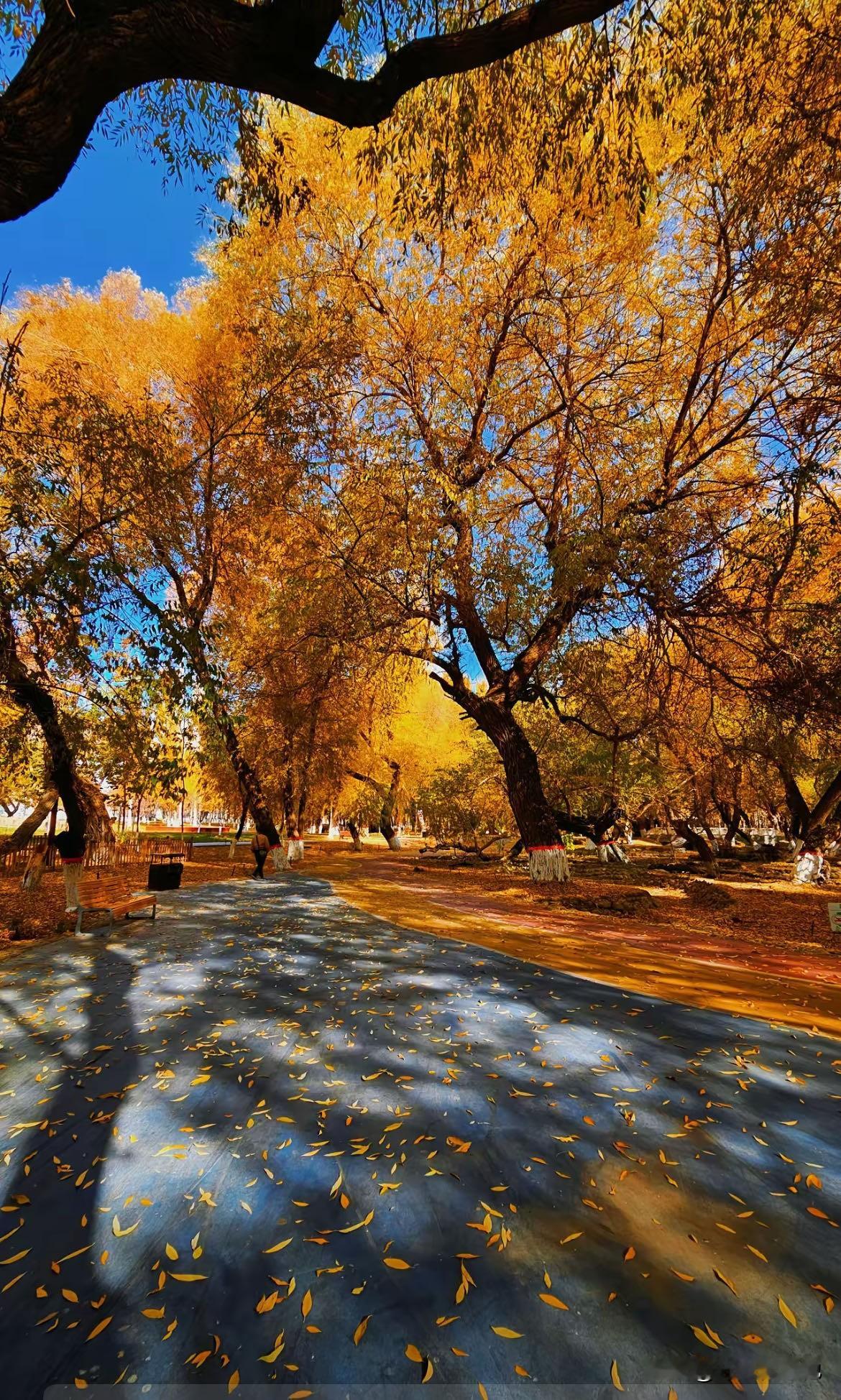 人生中有些东西极难悟透和看破，主要包括名利、情感和生死三个方面。 一...