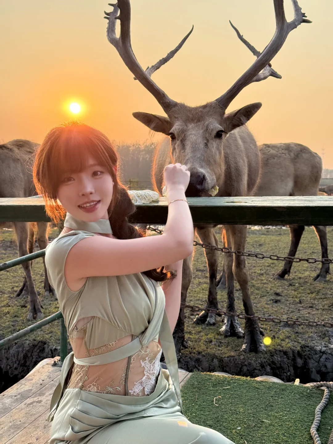 江苏肯尼亚🦌「溱湖国家湿地公园」