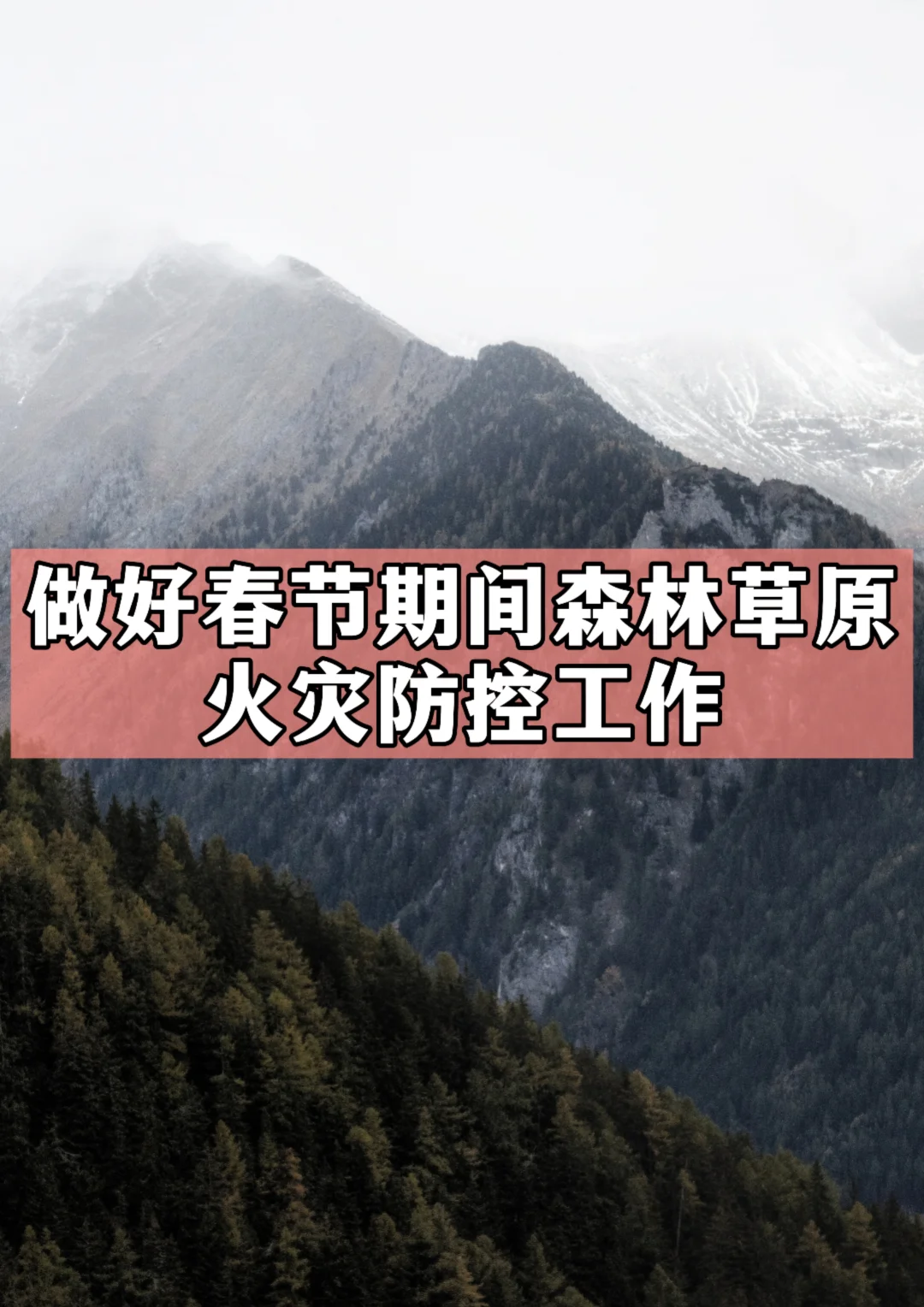 体制内：做好春节期间森林草原火灾防控工作