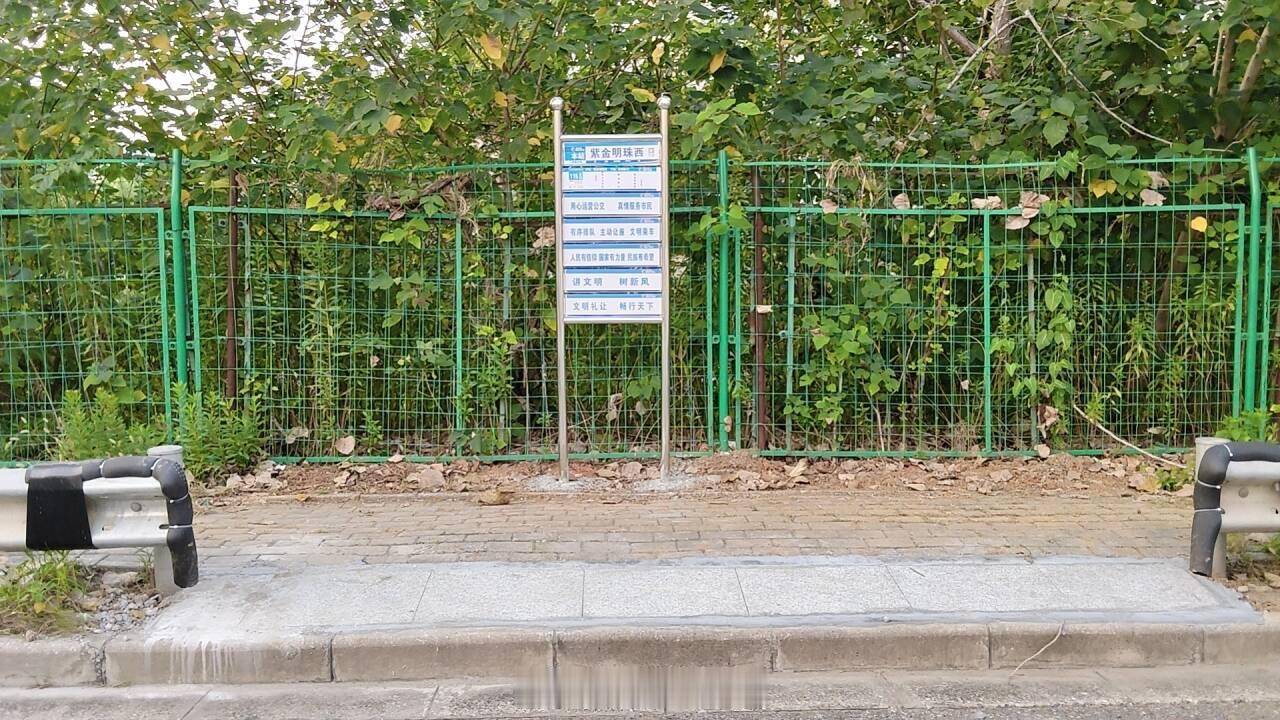 为填补片区公交服务空白，更好满足星瀚小学师生及学生家长接送孩子的出行需求，自2026年10月8日（周四）起，新辟115路区间。具体如下：
1.新辟公交115路区间
起讫站点：紫金明珠西⇌紫金明珠西。
线路走向：自“紫金明珠西”起，沿星海路、紫杨路、星海路至“紫金明珠西”止。
沿途停靠：紫金明珠西、 ​