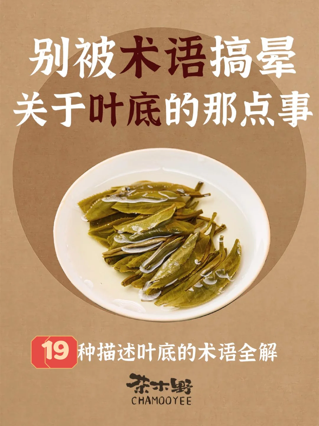 茶知识丨一文看懂19种描述叶底的术语！