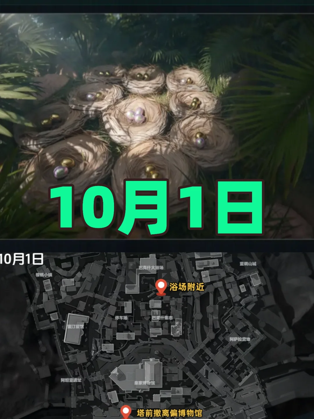 三角洲行动鸟窝聚集地10月1日全图点位