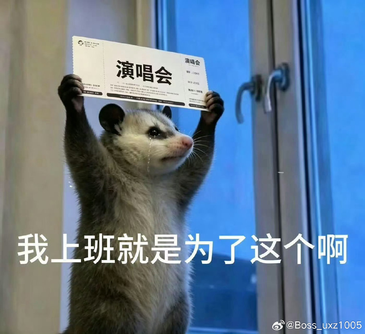 #肖战[超话]##肖战友情票有的话也很少# 
 从10：10分官宣到现在
连黄牛看了都直摇头[捂脸]
​建议粉丝凭运气手搓💔
​一个场地且只能预约一场[叹气] ​