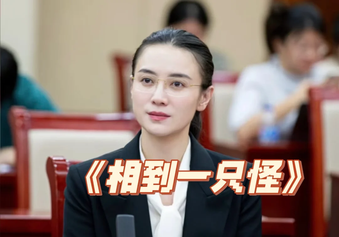 现实向高干文，双体.制内～