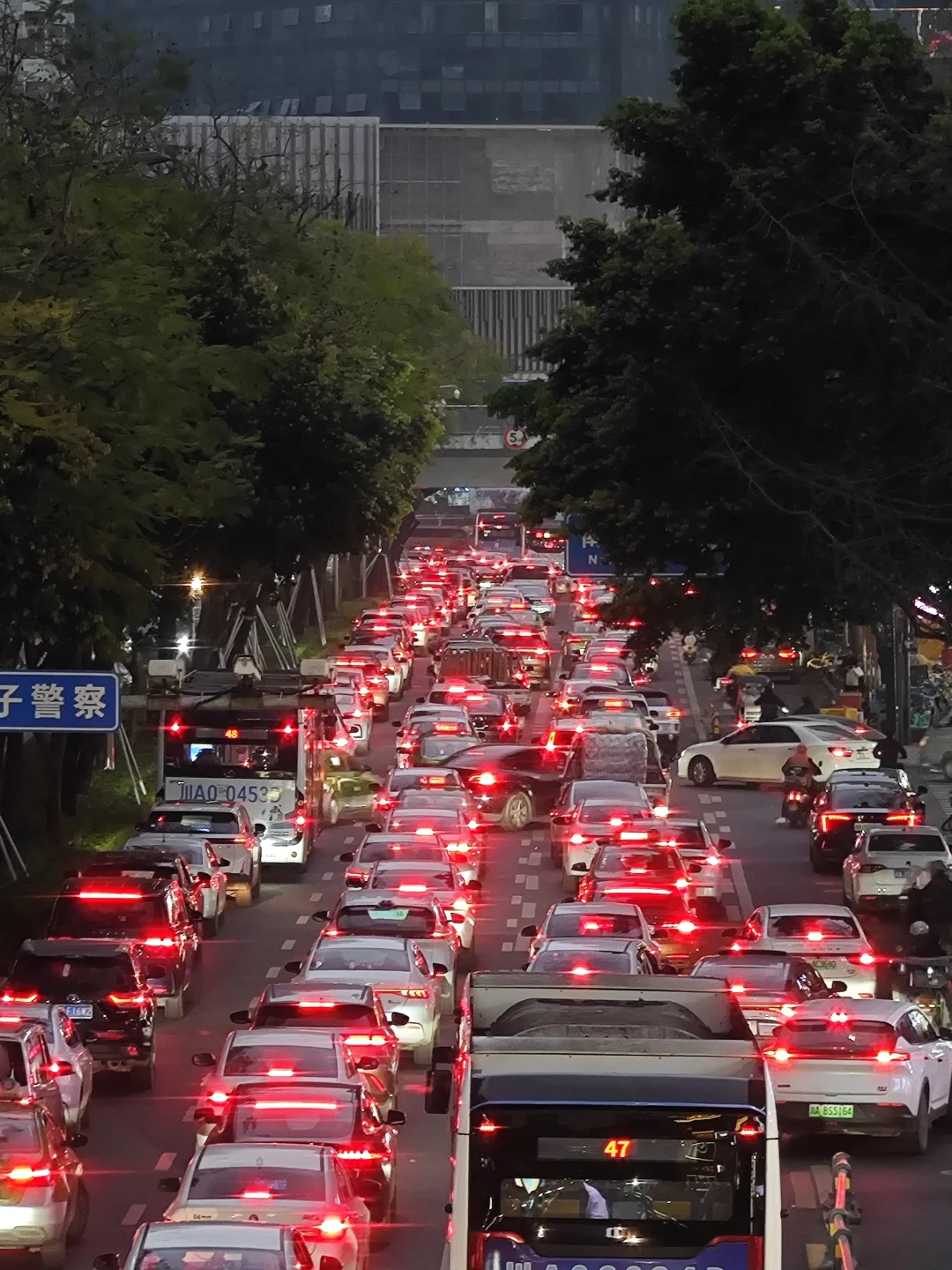 慢慢的悠 慢慢的悠 慢慢的悠闲☺️