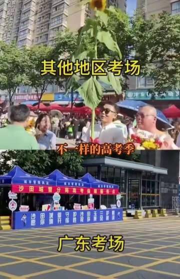 广东人的松弛成为全国一股清流，广东网友：子女高考我们不添乱