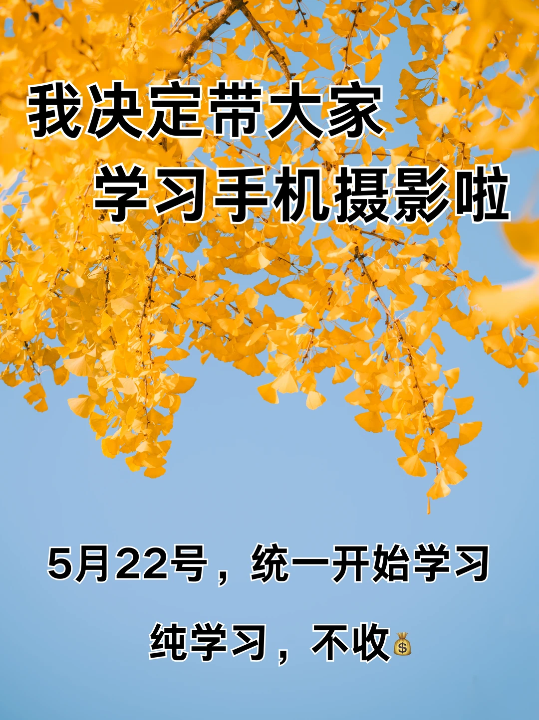 我决定带大家学习手机摄影啦！！