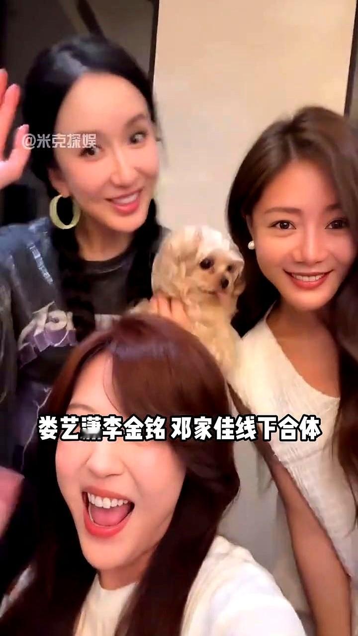 17年后胡一菲和陈美嘉再聚首，谁能想到现在混得最狠的，是当年那个“小姨妈”。

邓家佳早把“唐悠悠”的标签撕得粉碎。别人还在吃老本，她一扭头捧回了金鸡百花双料女配，又拿下华鼎影后。

娄艺潇干脆扎进音乐剧巡演，还砸钱搞起了短剧。李金铭在直播间里清醒带货，赵文琪回家带娃过日子，赵霁早因身体原因彻底隐身