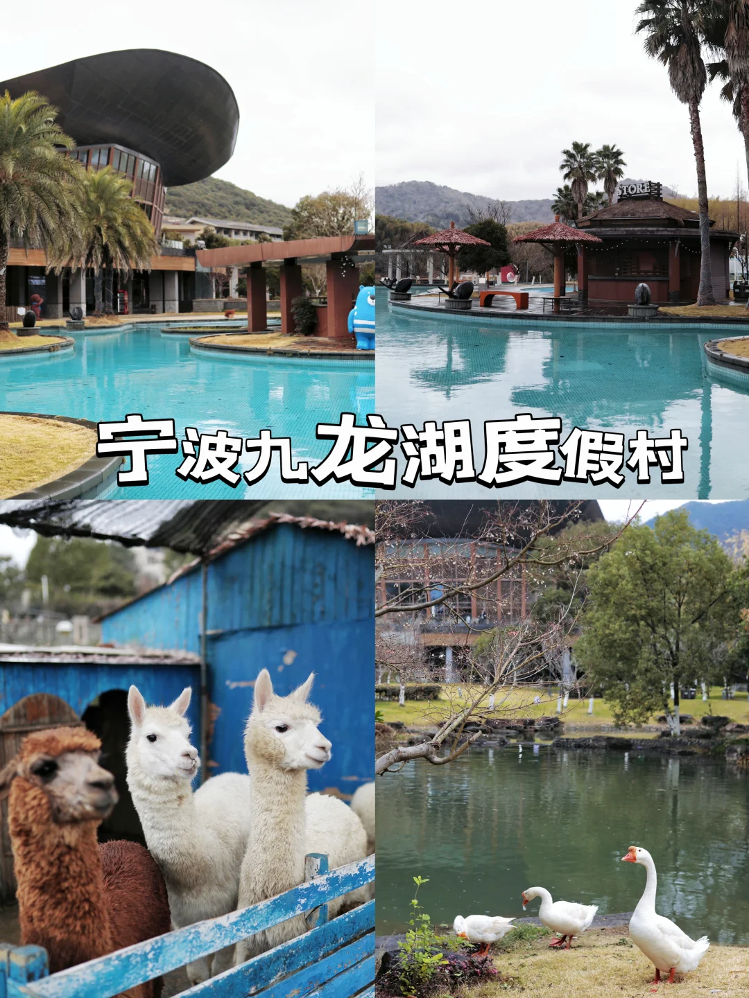 浙江亲子游神仙酒店｜性价比天花板来这家！