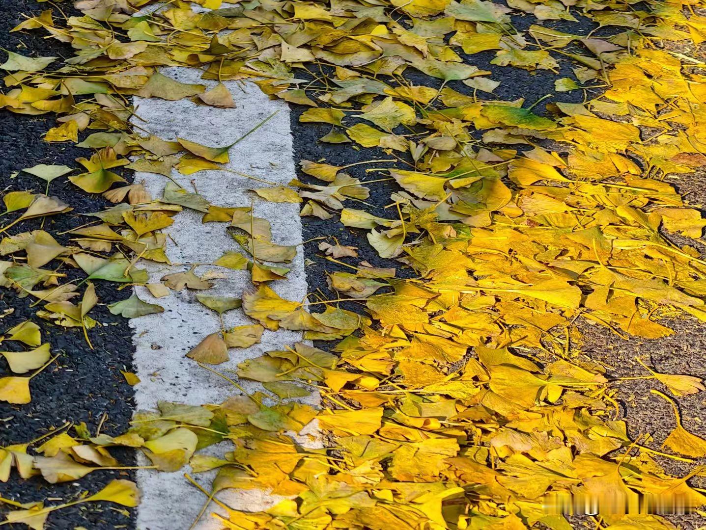 亲密关系问题核心就两点 1.经济上的匮乏 2.心理上的匮乏  经济匮乏...