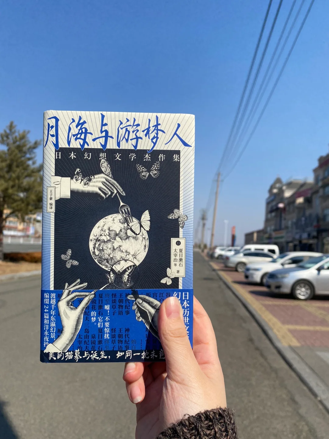 凡人终有一死，疯魔必须永生