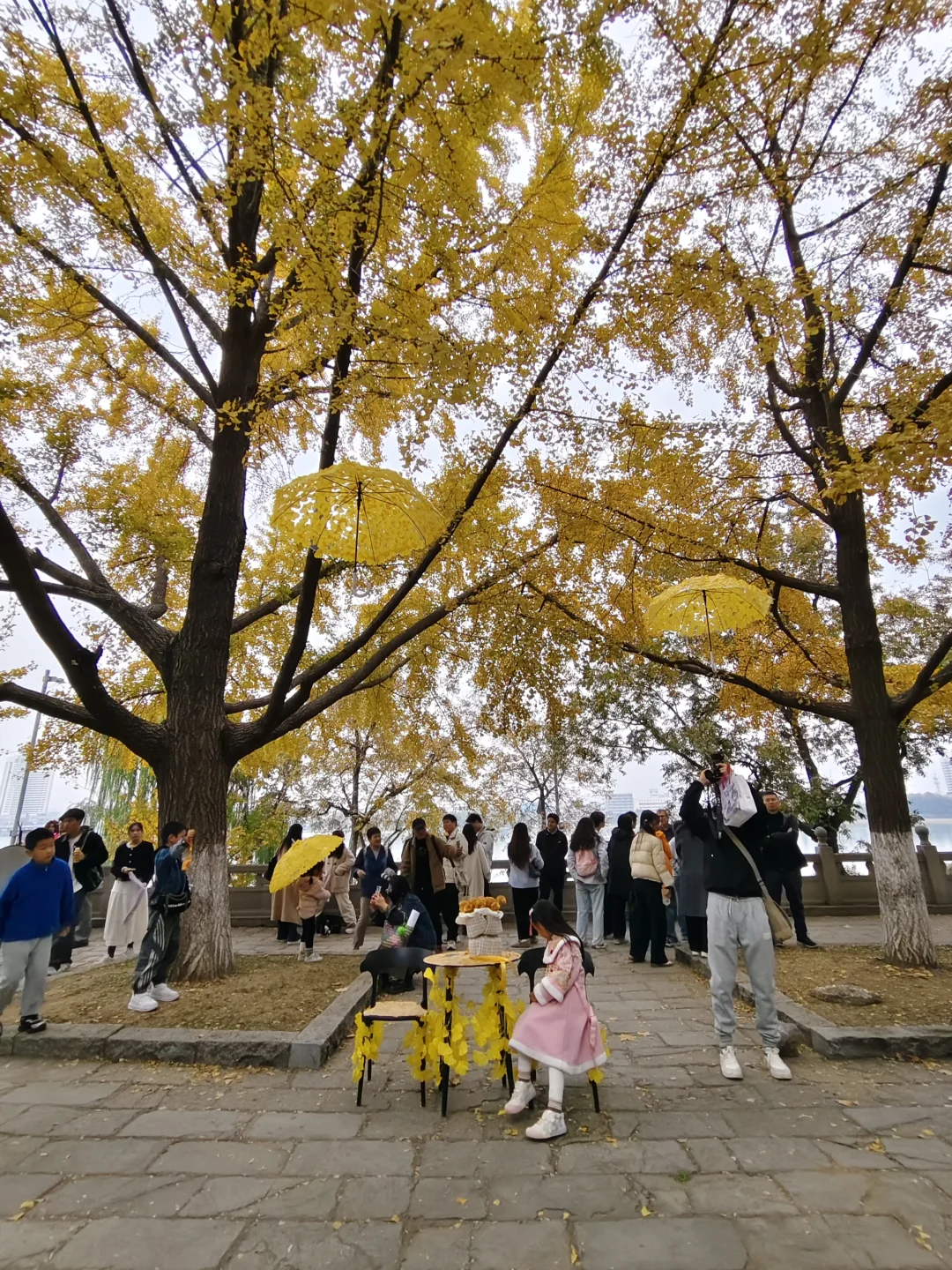 11.22实拍｜南京玄武湖的美已经next level