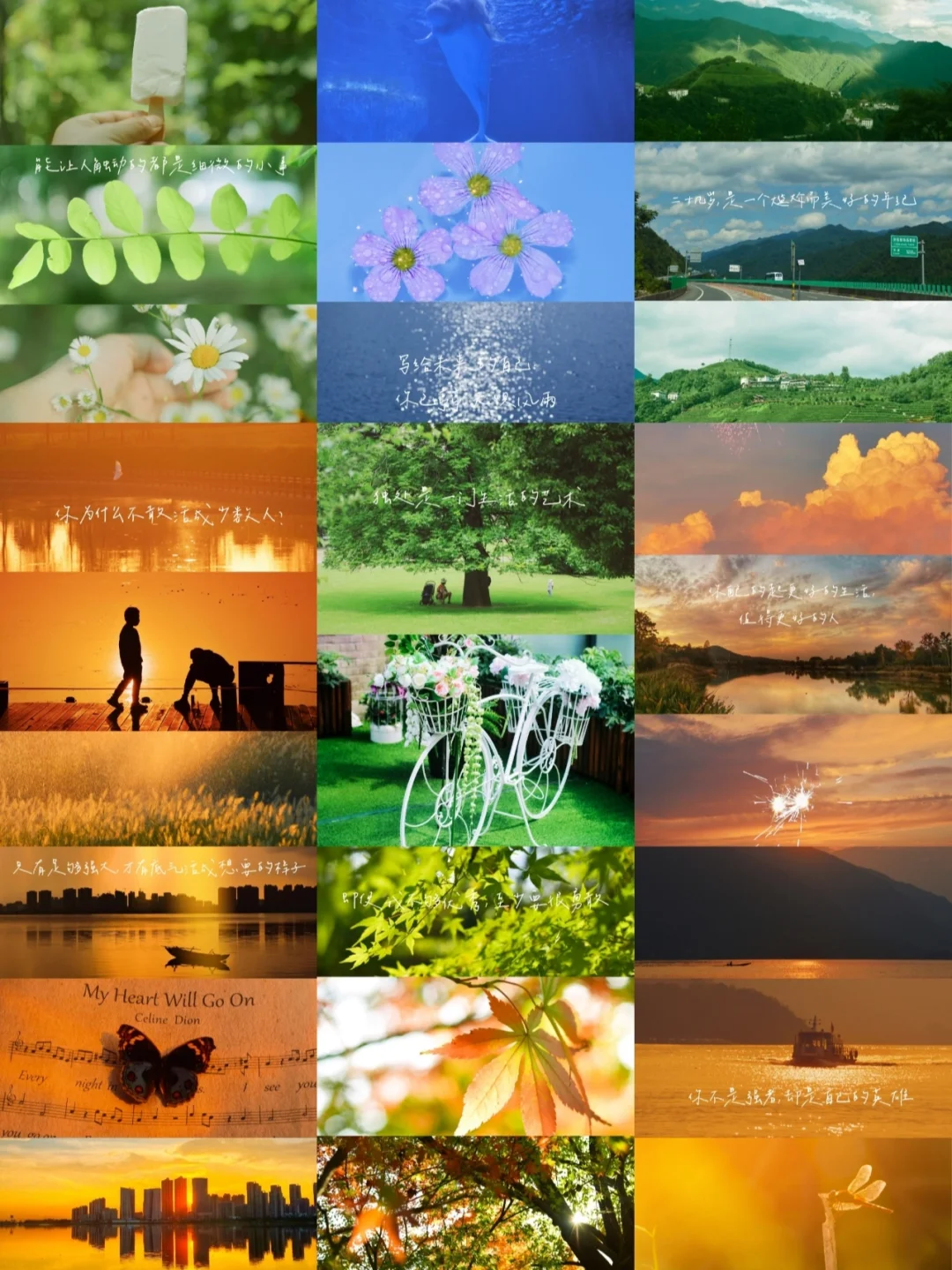 摄影4年/我是如何从小白自学摄影开始恰饭的