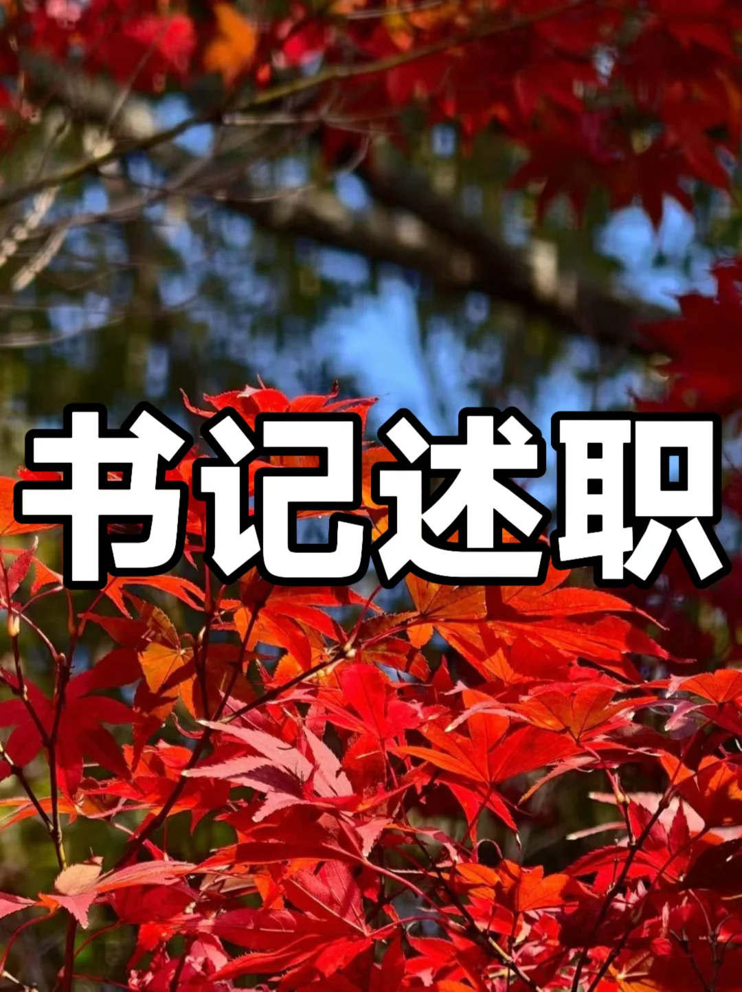 体制内：书记述职