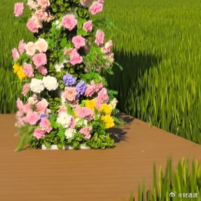 #爷爷提前剪葫芦是给流量的一记耳光#今儿也去网红点拍了照片。

     绿油油的稻田里，做了一个布满“鲜花”的秋千架，满足中年阿姨的少女心，蓝天白云下确实很美丽。

     有流量确实有知名度不错，可过分追逐流量，甚至影响到日常生活，大爷剪去葫芦之举实属无奈，只是为了不被过分干扰吧。

      ​