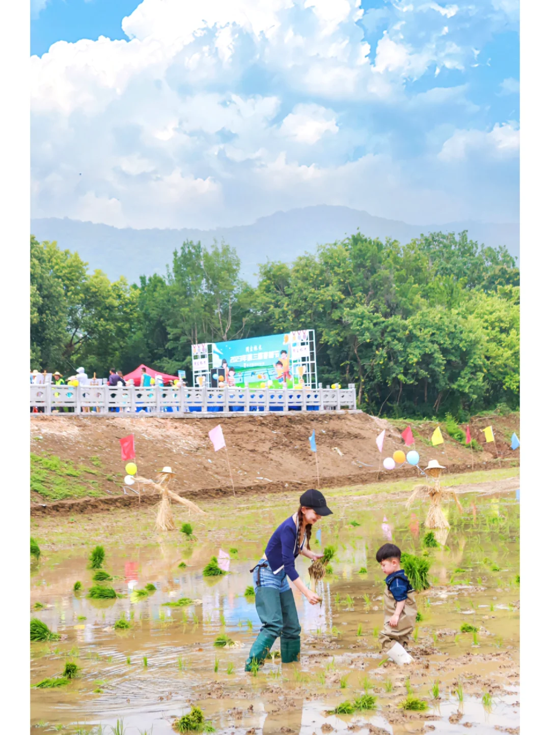 武汉溜娃｜带娃插秧🌱摸鱼🐟体验粒粒皆辛苦