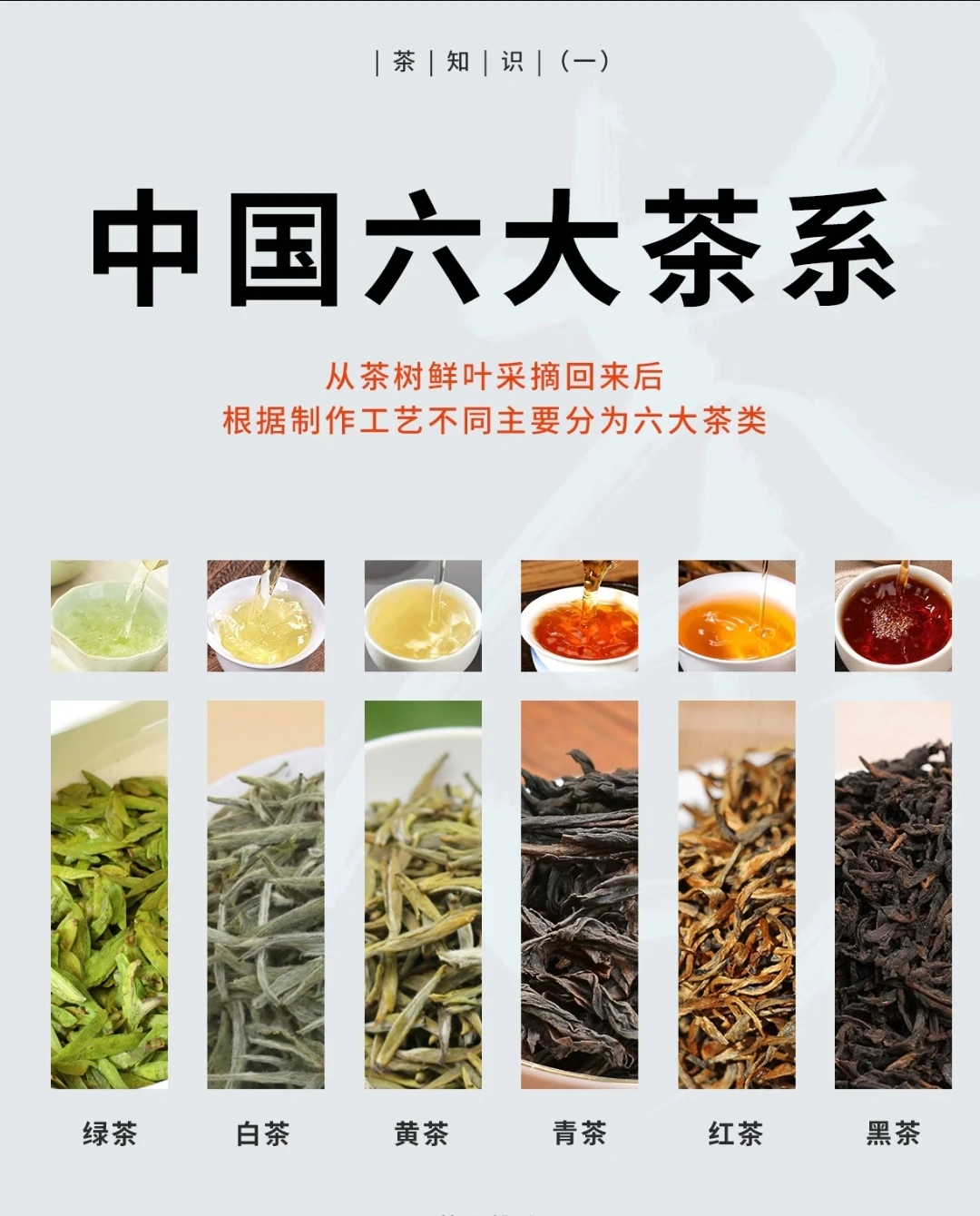 最全的六大茶类知识，建议收藏！