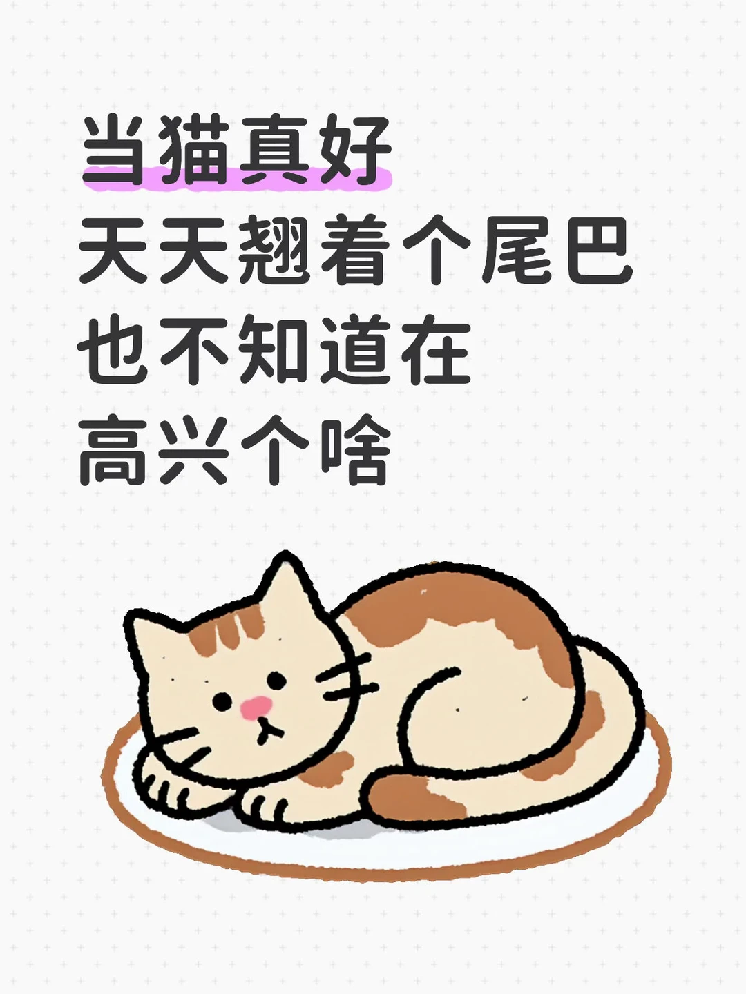 好羡慕我家猫啊啊啊啊啊