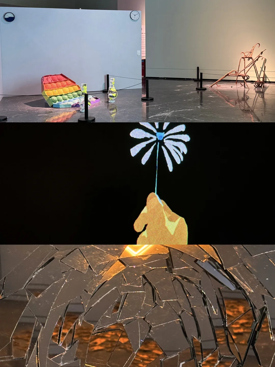 免费公益新展✨原来这世界有千万种打开方式