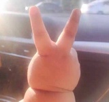 生根生花