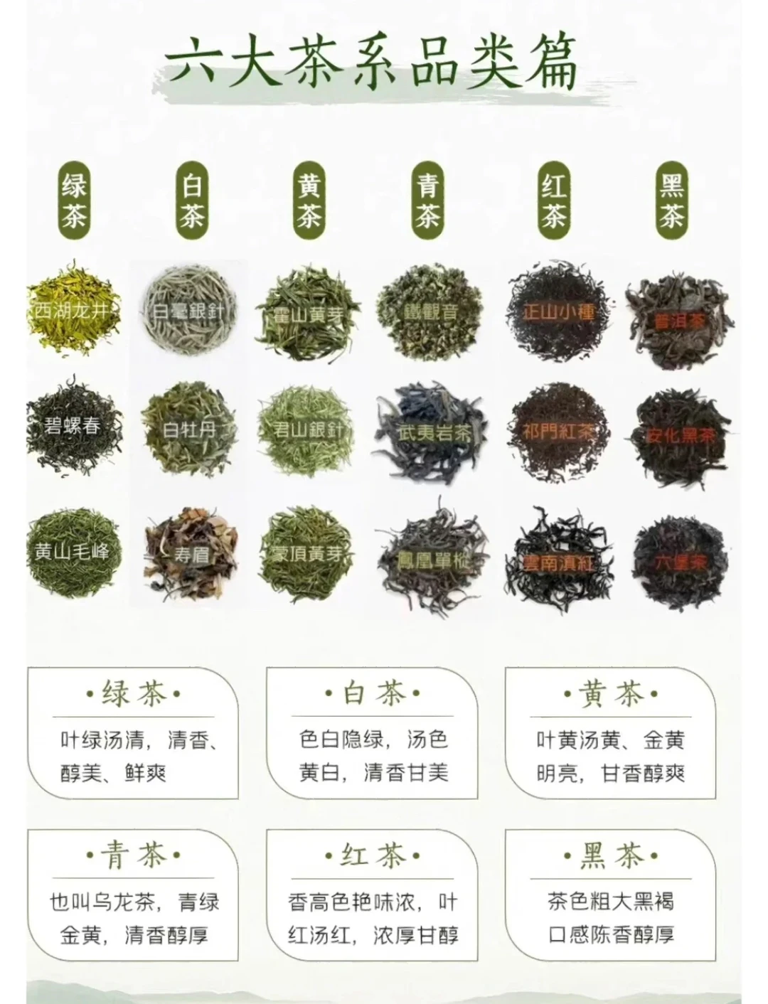 六张图片带你了解中国六大茶类，简单易懂
