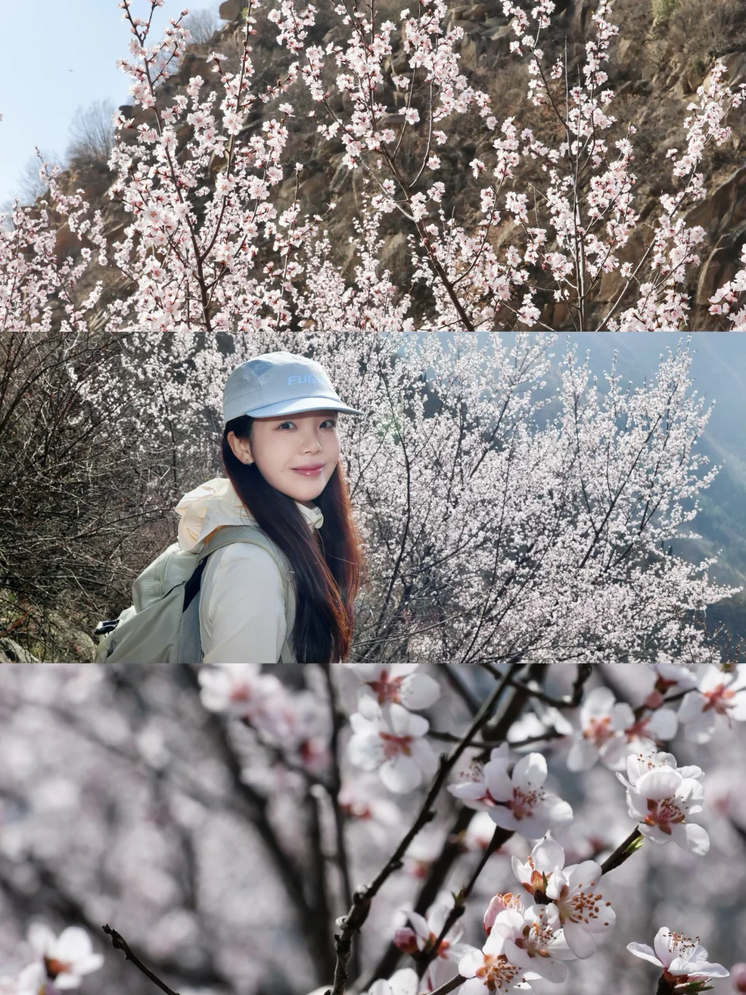 3.5三凤山实拍！想和你交换这里的春天🌸