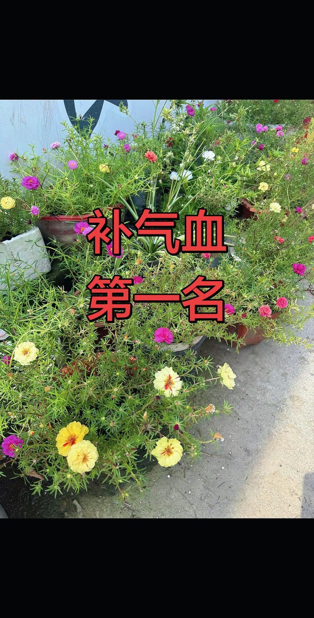 马刺还是太年轻了，关键失误&amp;绝杀不中，马刺主场再负尼克斯，