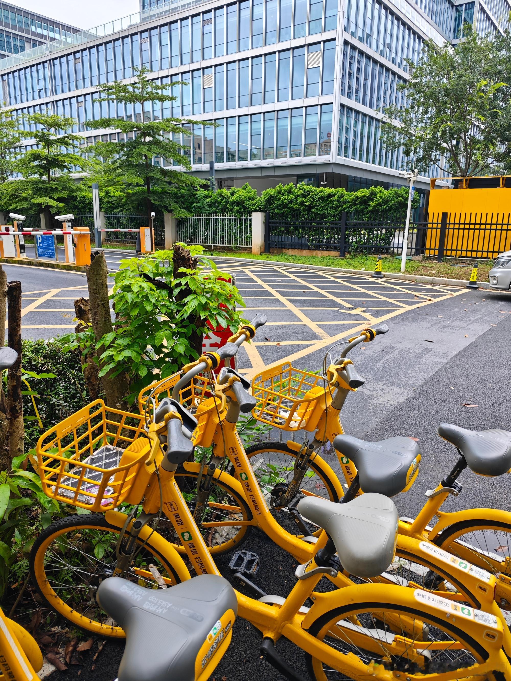 海口土包子独自出差广州的第一天:1.出勤方式永远优先美团单车，上班能悠...
