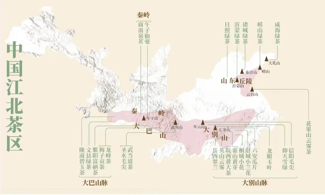 我国四大茶区，你知道在哪里吗？