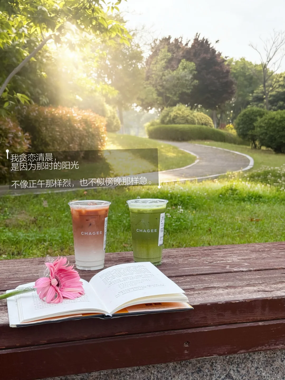 早起，到有树和阳光的地方去。