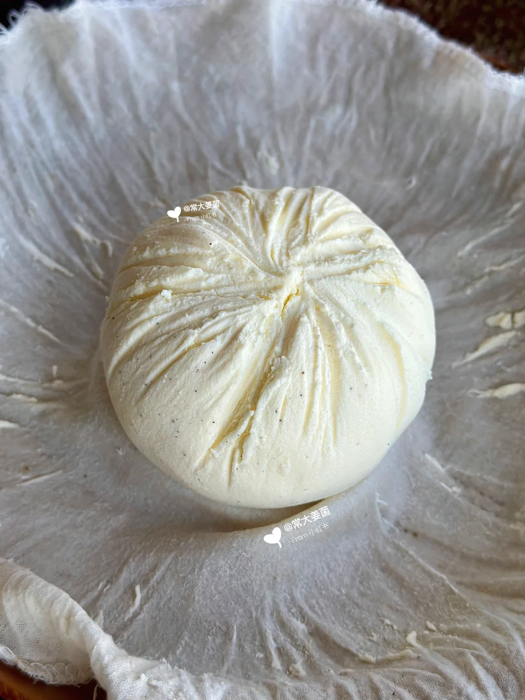 5min做新鲜奶酪🧀只需2种食材！！