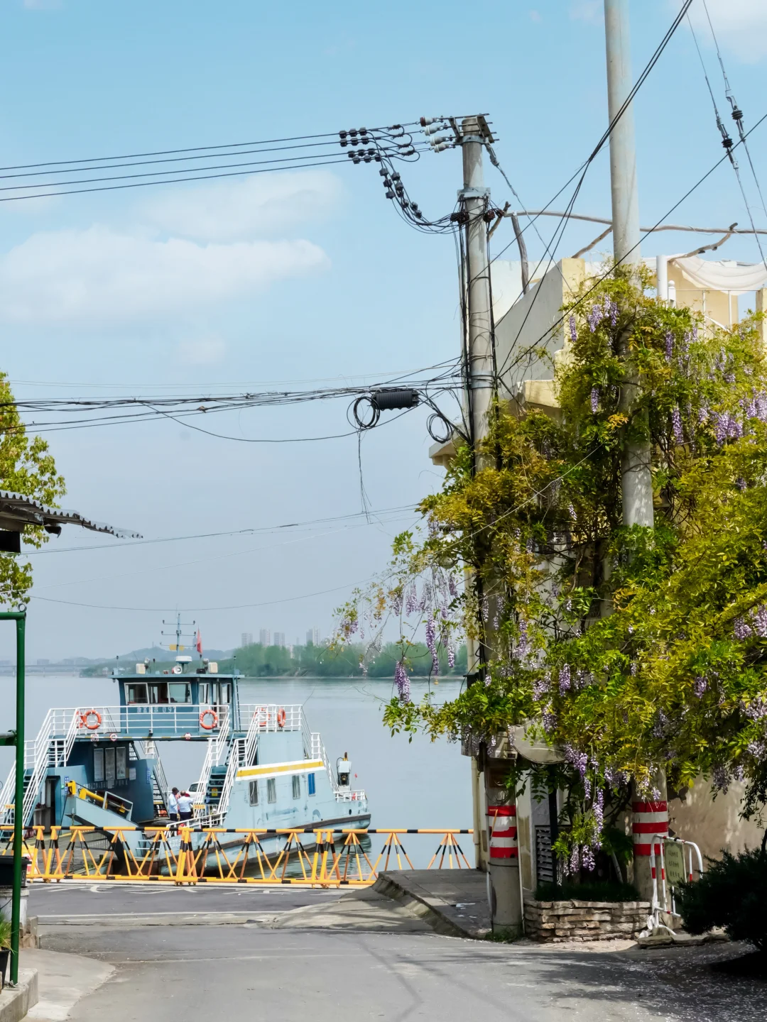 🌿杭州周边！富阳绝美春日3大秘境