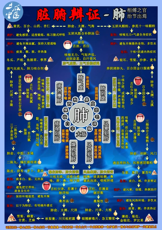 🌟肺为华盖之脏｜你的呼吸力在线吗？