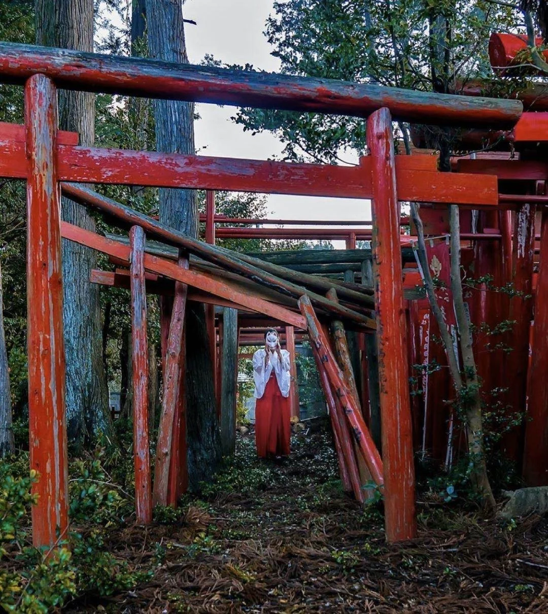 日本千叶县|到处都是三狐狸神夏目既视感！